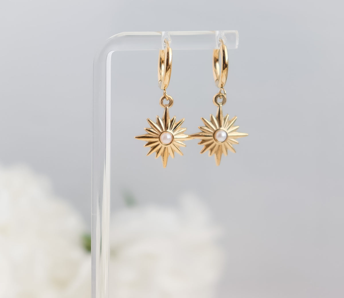 Colour Gem Star Drop Dangle Earrings