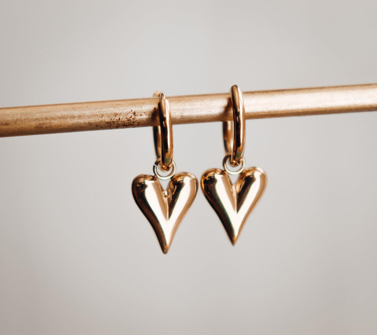 Hoop Dangle Heart Earrings